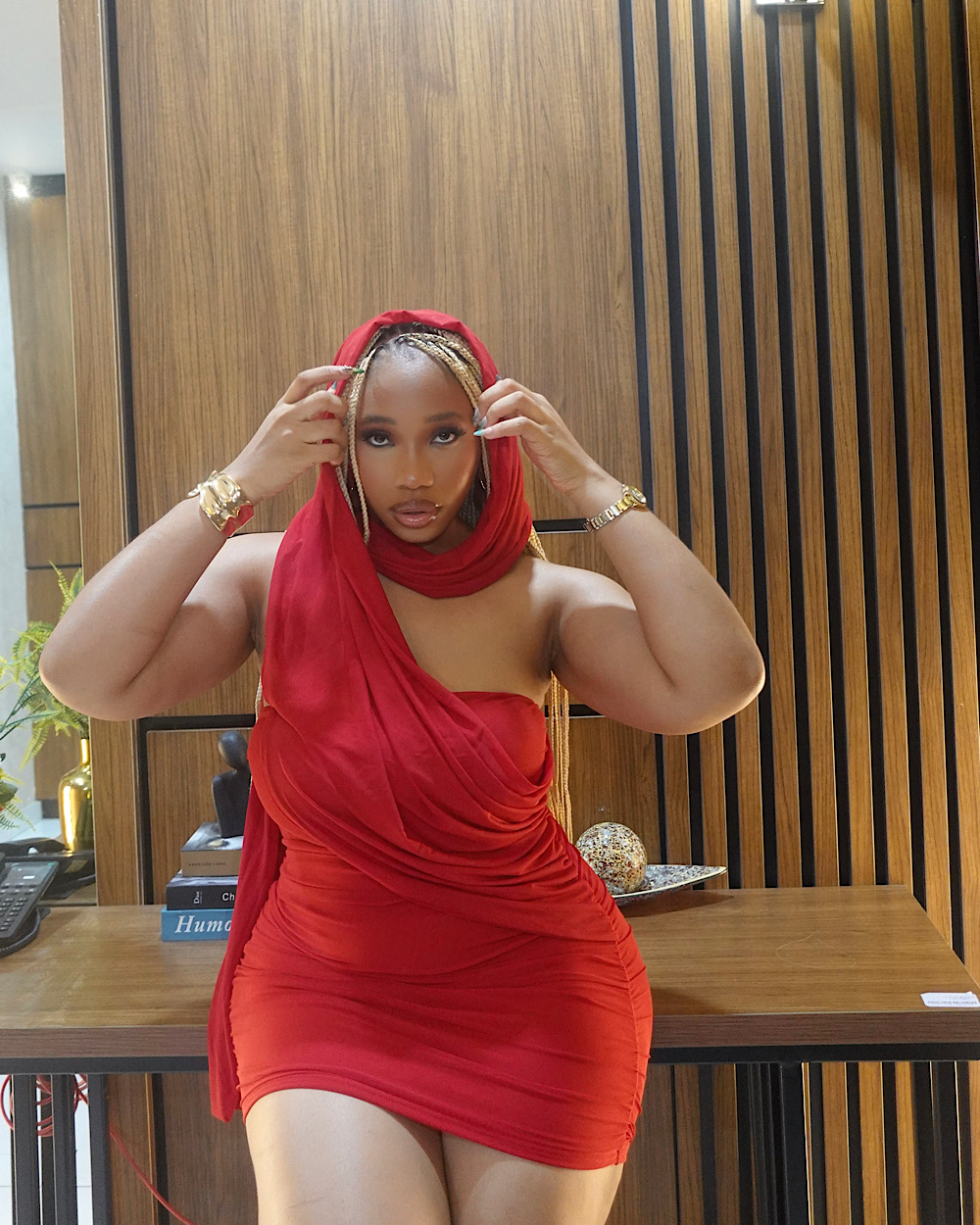 Maxine Red Mesh Dress - Thumbnail